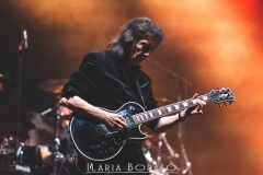 Steve Hackett, Gran Teatro Geox, 02.11.24